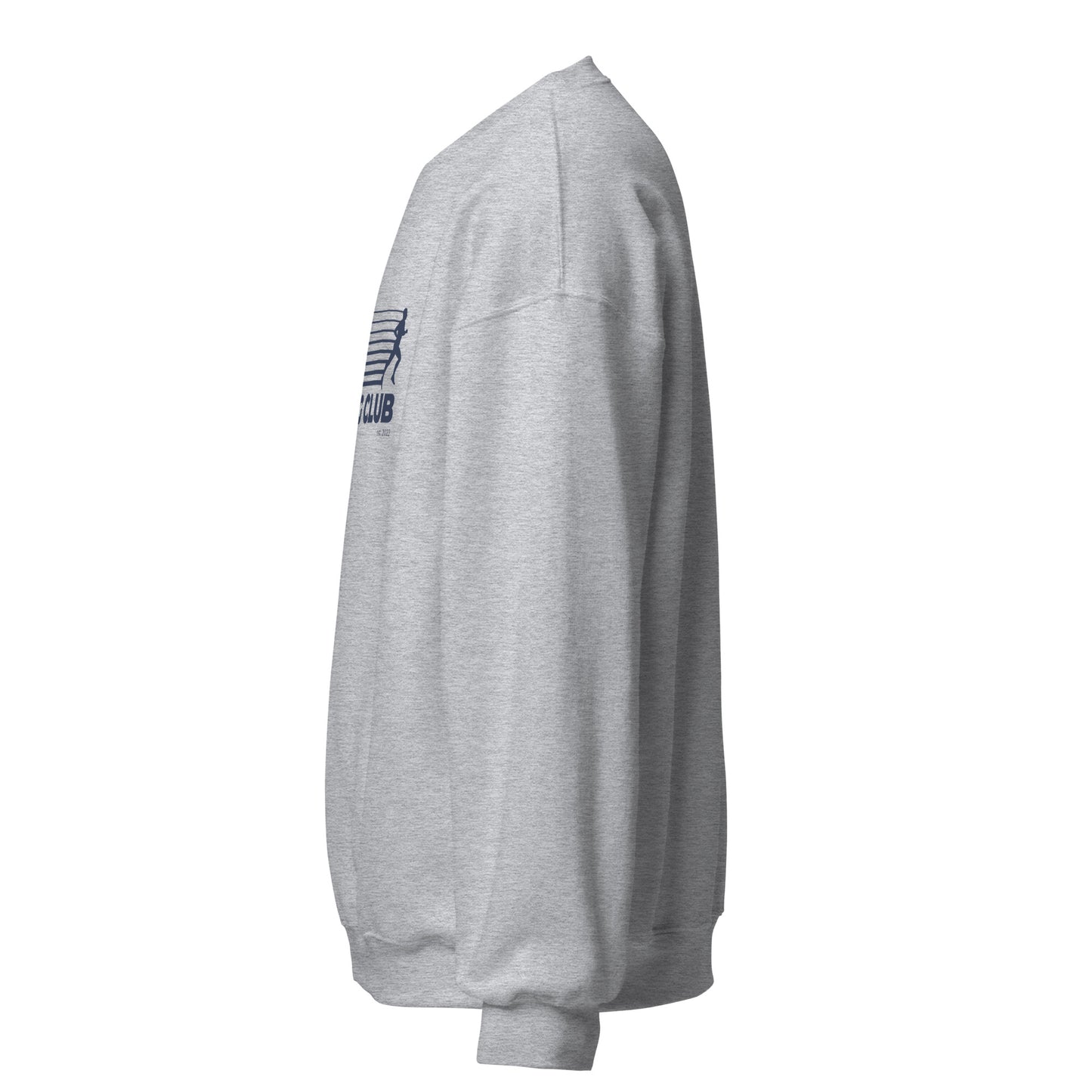 Sweatshirt (Grey and Light Blue)