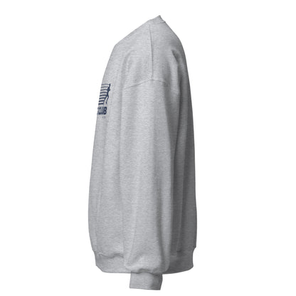 Sweatshirt (Grey and Light Blue)